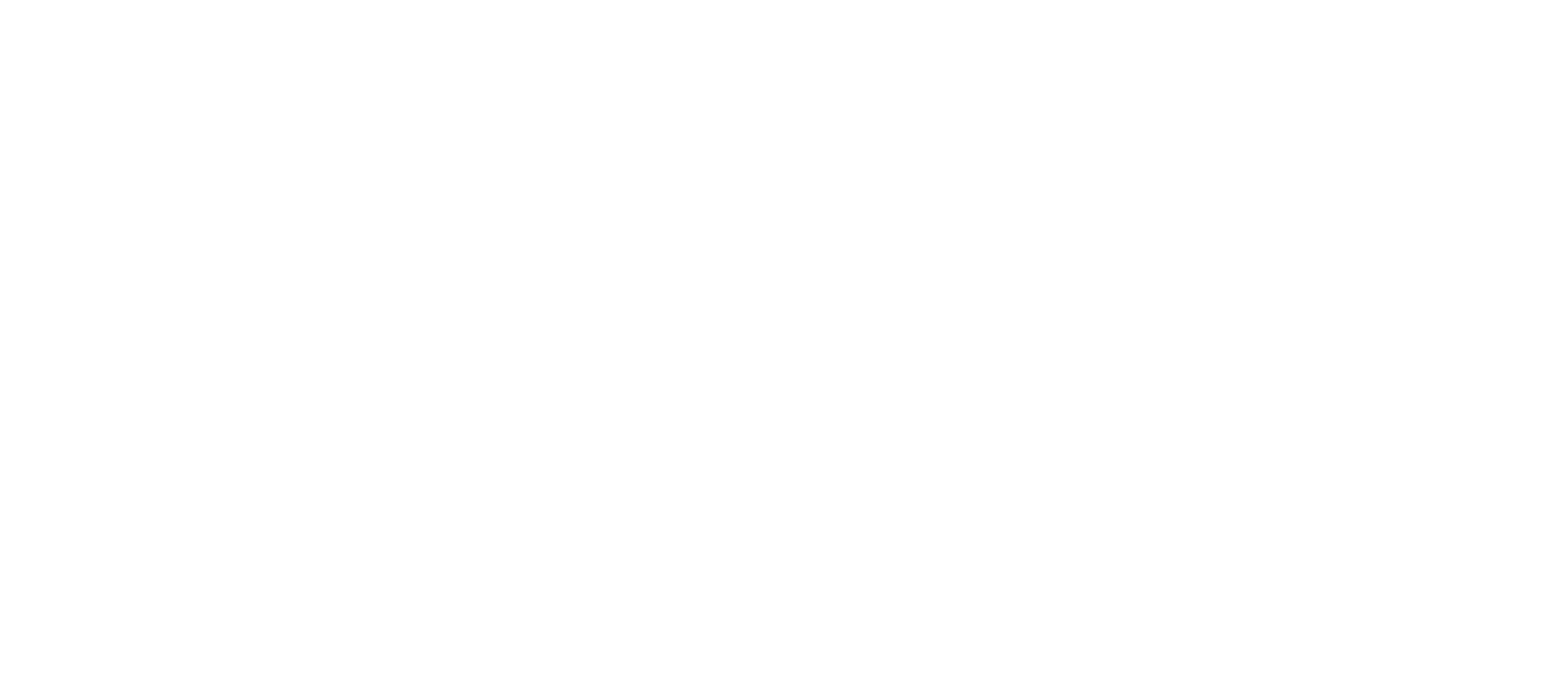 European Auto Garage